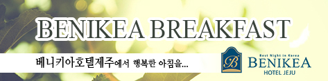 제주 배너